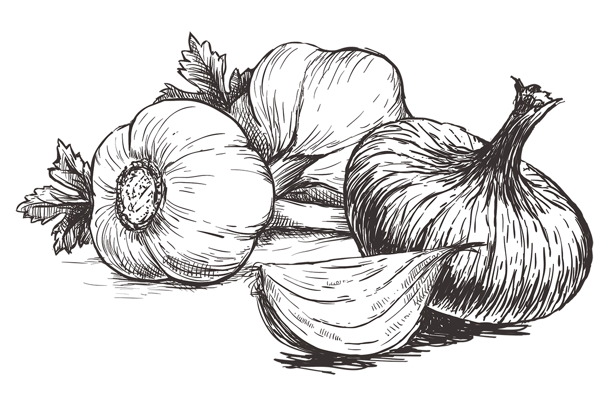 Knoblauch und Zwiebeln